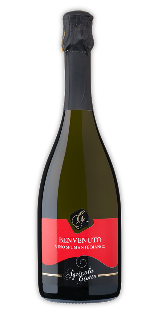 Benvenuto — Vino Spumante Bianco Dry (cartone da 6)