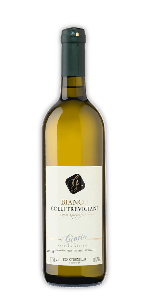 Bianco Colli Trevigiani IGT — Giotto (cartone da 6)